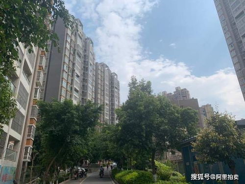 攀枝花錦泰亨房地產(chǎn)破產(chǎn)清算 一住宅39萬元起拍，非居住房地產(chǎn)租賃同步處置